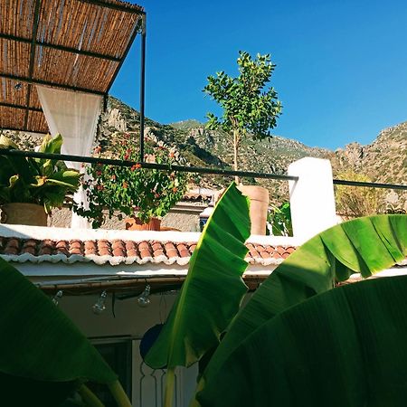 舍夫沙万Dar Sbaa住宿加早餐旅馆 外观 照片